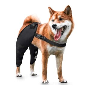 Dog Knee Braces for Pain CCL ACL Arthritis Support Black Medium Two Legs Extra Stability