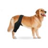 Dog Knee Orthosis for Craniad Cruciate Ligament Injuries Relief