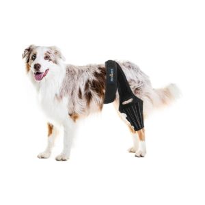 Dog Knee Pain Relief ACL CCL Knee Stabilizer with Side Stabilizers for Hind Leg