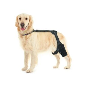 Dog Knee Support Harness for Tor