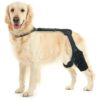 Dog Knee Support for ACL Injuries with Amplified Support and Comfortable Design