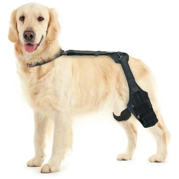 Dog Knee Support for ACL Injuries with Amplified Support and Comfortable Design