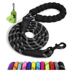 Dog Leash with Comfortable Padded Handle and Reflective Threads