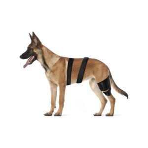 Dog Leg Amputee Support with Adjustable Knee Caps and Enhanced Stability