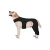 Dog Leg and Knee Recovery Sleeve for All Breeds and Sizes