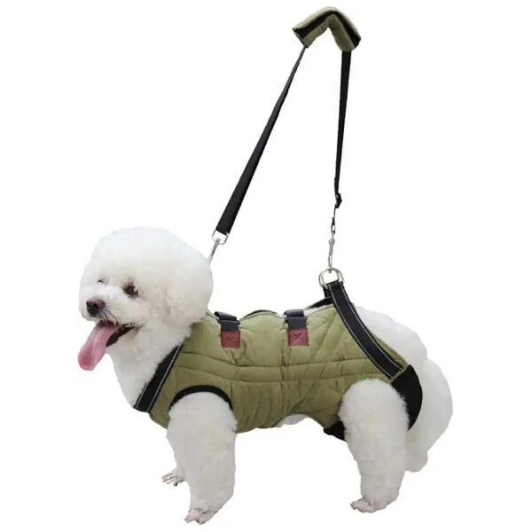 Dog Lift Harness Full Body Support for Medium Dogs and Nail Trimming Assistance