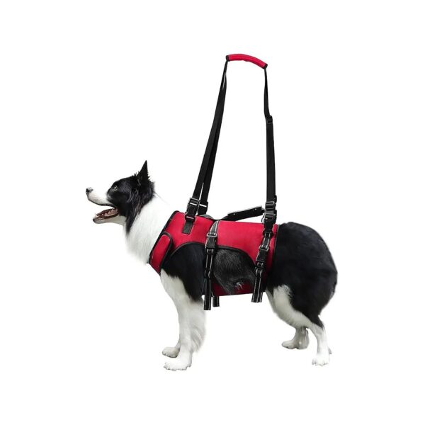 Dog Lift Harness for Elderly and Disabled Pets with Joint Injuries and Arthritis