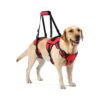 Dog Lift Harness for Injured and Disabled Dogs with Adjustable Size and Support