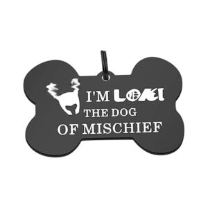 Dog Lover Gift Stainless Steel Funny Dog Collar Tag with I'm THE DOG OF MISCHIEF Text