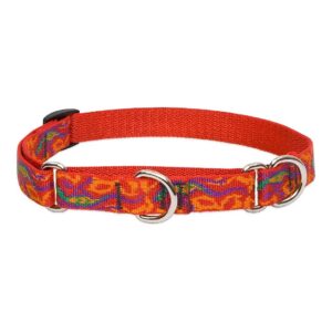 Dog Martingale Collar with Drawstring Closure for Medium to Large Breed Dogs