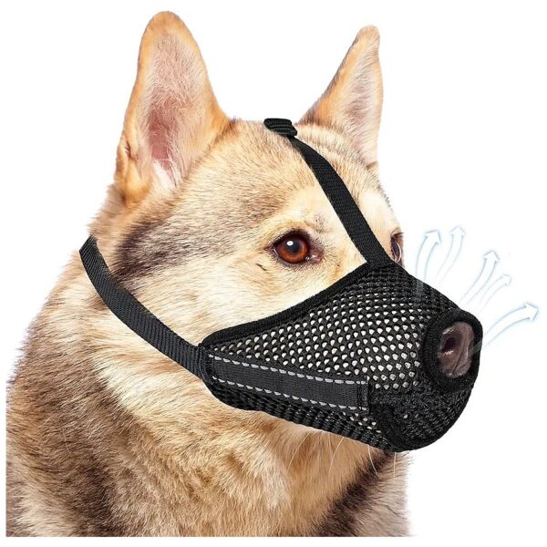 Dog Muzzle with Adjustable Buckle for a Secure and Comfortable Fit