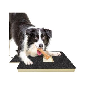 Dog Nail Scratch Board File for Stress Free Trimming Alternative