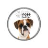 Dog Nose Care Essentials for Comfort and Health