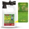 Dog Owner's Solution for Lawn Brown Spots - Ready-to-Apply