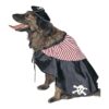 Dog Pirate Costume Size Large for Halloween Pet Costume