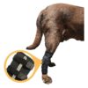 Dog Rear Leg Support Wrap with Compression for Arthritis Relief