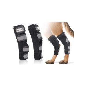 Dog Rear Leg Support for Arthritis and Injury Relief