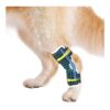 Dog Rear Leg Supports with Metal Spring Inserts for Fracture Protection and Stabilization