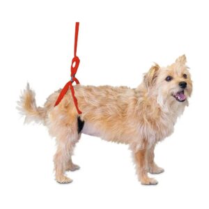 Dog Rear Support Lifting Harness for Small Breeds with Joint Injuries Rehabilitation