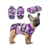 Dog Recovery Suit for Abdominal Wounds and Skin Herpes XX-Large Purple