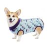 Dog Recovery Suit for All Breed Sizes, Small Medium Large, and More