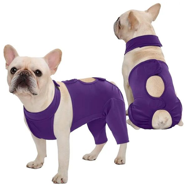 Dog Recovery Suit for Female Male Dogs After Spay Neuter Surgery