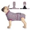 Dog Rehabilitation Kit with Adjustable Recovery Suit for Abdominal Wounds