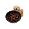 Dog Slow Feeder with Non-Slip Base - Food-Safe Plastic Puzzle Bowl for All Food Types