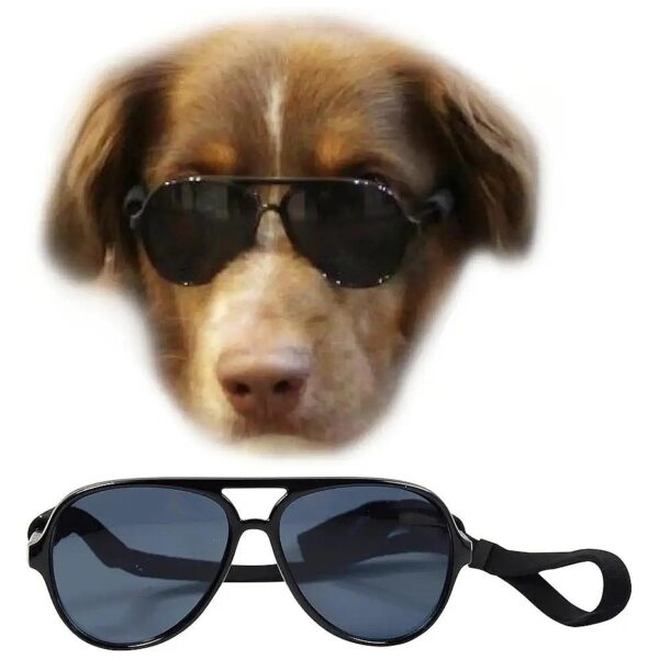 Dog Sunglasses for Medium Breeds 20-40lbs Aviator Fashion Design