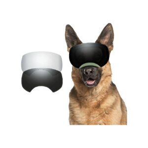 Dog Sunglasses with Magnetic Lenses and Anti-Fog Windproof Snowproof Sking Eye Protection