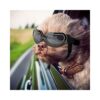 Dog Sunglasses with UV-Blocking Lenses and Windproof Design for Small Breeds