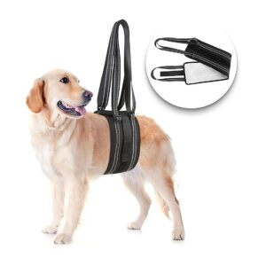 Dog Support Sling for Hind Leg Rehabilitation Black