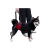 Dog Support Sling for Older Dogs with Arthritic and Injured Hind Legs