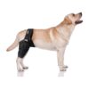 Dog Supportive Knee Braces for Torn ACL and Hind Leg Support