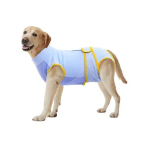 Dog Surgery Recovery Clothing for Accelerated Healing and Wound Protection