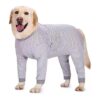 Dog Surgery Recovery Suit with Abdominal Round Design for Male Dogs 3XL Gray