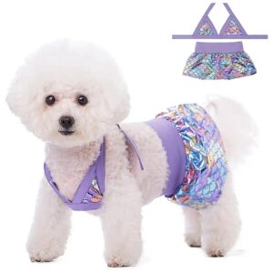 Dog Swimsuit Beach Dress with Pink Blue Rainbow Print for Summer Beach Fun