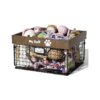 Dog Toy Bin Organizer for Puppy Leash, Blanket, Treats, and More