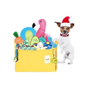 Dog Toy Set for Small Medium Breed Puppies with Variety of Textures and Squeakers