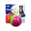 Dog Toy with Bell and Squeaker for All Breed Sizes