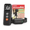 Dog Training Collar with Shock Functionality for Small Medium Large Breeds Black