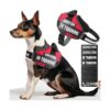 Dog Training Harness with Reflective Strips for Increased Visibility and Safety