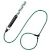 Dog Training Leash with Padded Leather Handle and 6FT Length for Small Dogs