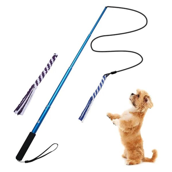 Dog Training and Exercise Aid with Extendable Pole and Replaceable Ropes for Fun Play