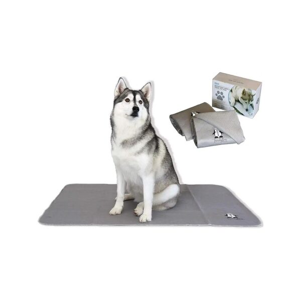 Dog Training and Grooming Accessories with Ultra Absorbent Pee Pads