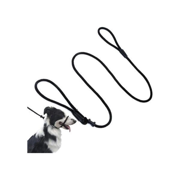 Dog Training and Walking with Figure 8 Padded Head Halter and Muzzle