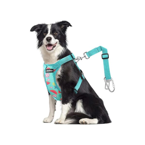 Dog Travel Safety Harness with Soft Padded Mesh and Carabiner Lake Blue Flower Size Large