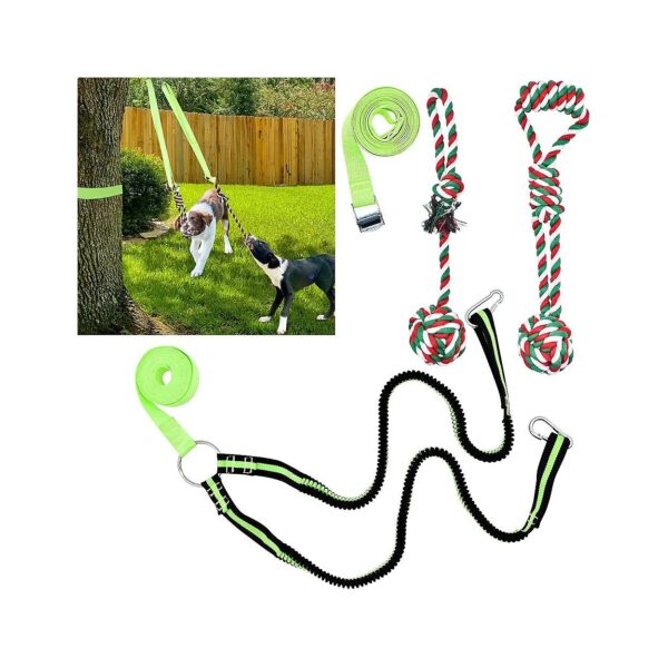 Dog Tug Toy for Two Dogs Interactive Hanging Rope with Durable Bungee Cord