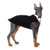 Dog Tuxedo and Bandana Set Elegant Black Formal Wear for Large Breed Dogs