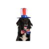 Dog Uncle Sam Hat and American Flag Bow Tie Collar Costume for Memorial Day